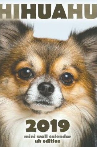 Cover of Chihuahua 2019 Mini Wall Calendar (UK Edition)