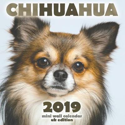 Book cover for Chihuahua 2019 Mini Wall Calendar (UK Edition)