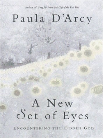 Book cover for New Set of Eyes