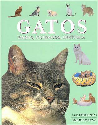 Book cover for Gatos. Razas, Cuidados, Historia