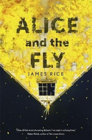 Cover of Alice and the Fly