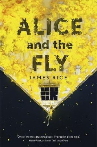 Alice and the Fly