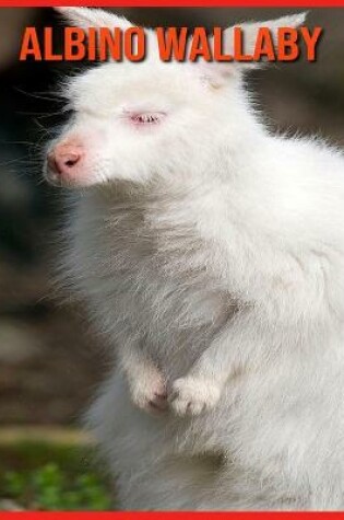 Cover of Albino Wallaby