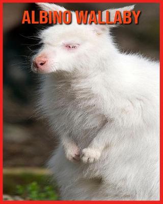 Book cover for Albino Wallaby