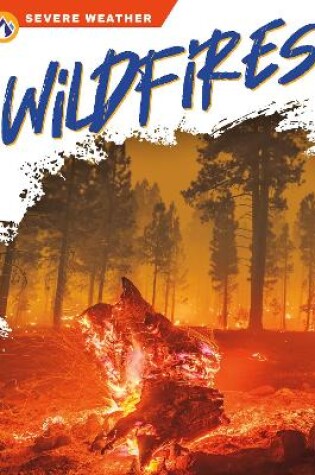 Cover of Severe Weather: Wildfires