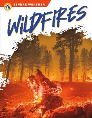 Book cover for Wildfires