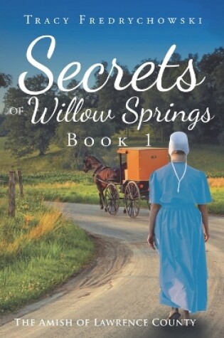 Cover of Secrets of Willow Springs - Book 1