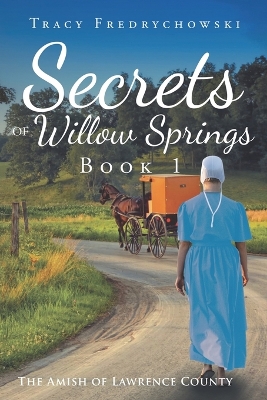 Book cover for Secrets of Willow Springs - Book 1