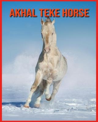 Book cover for Akhal Teke Horse