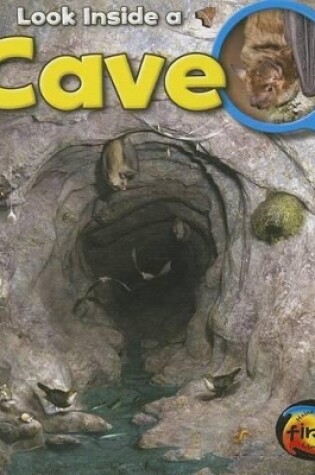 Cover of Cave