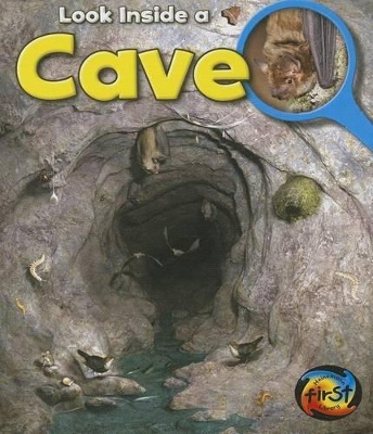 Book cover for Cave