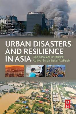 Book cover for Urban Disasters and Resilience in Asia