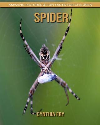 Book cover for Spider