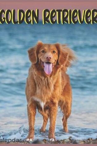 Cover of Golden Retriever Calendar 2022