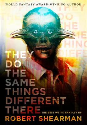 Book cover for They Do the Same Things Different There