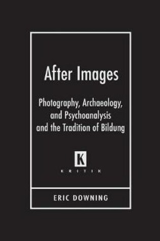 Cover of After Images