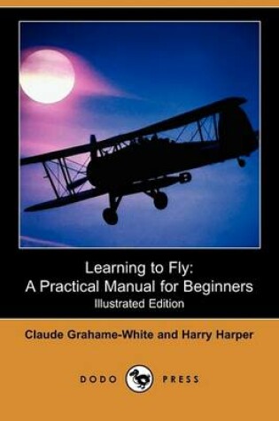 Cover of Learning to Fly