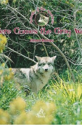 Cover of Here Comes the Gray Wolf