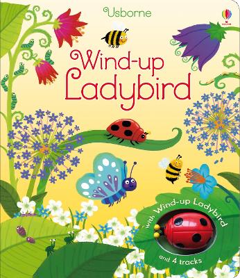 Book cover for Wind-up Ladybird