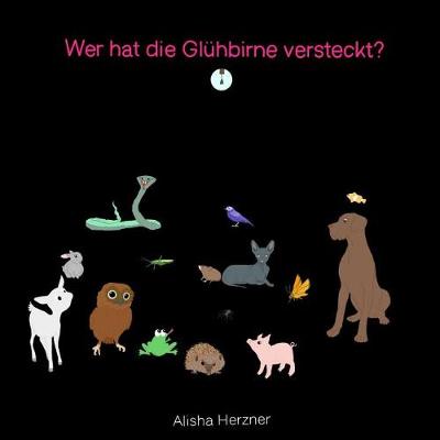 Book cover for Wer hat die Gluehbirne versteckt?