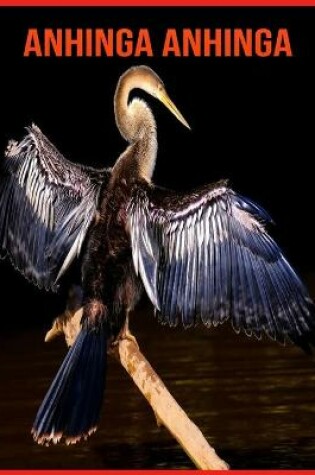 Cover of Anhinga anhinga