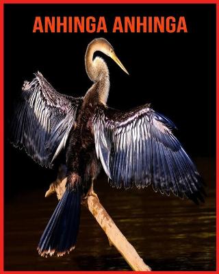 Book cover for Anhinga anhinga