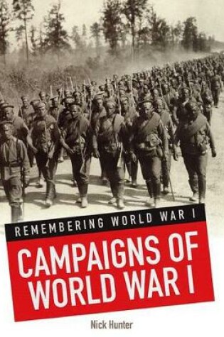 Cover of Campaigns of World War I (Remembering World War I)