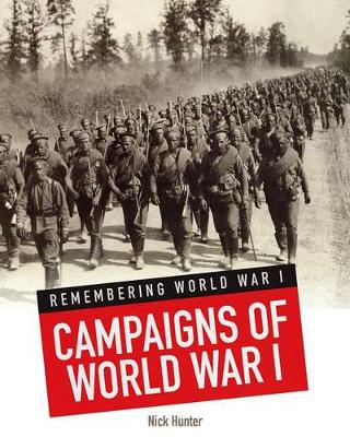 Book cover for Campaigns of World War I (Remembering World War I)