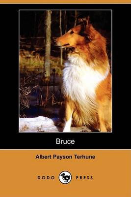 Book cover for Bruce (Dodo Press)