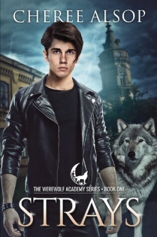 Cover of Werewolf Academy Book 1