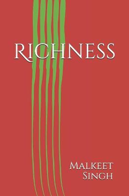 Book cover for Richness