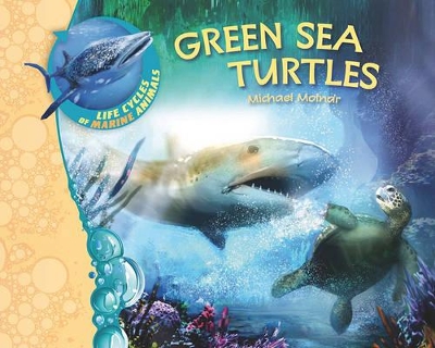 Cover of Us Lcma Green Sea Turtles