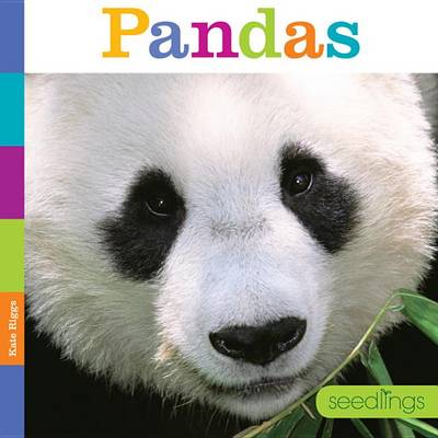 Book cover for Seedlings Pandas