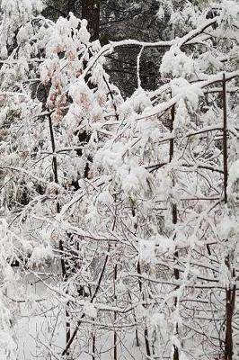 Cover of 2019 Daily Planner Winter Season Nature Photo 384 Pages