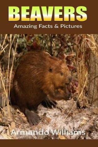 Cover of Beavers