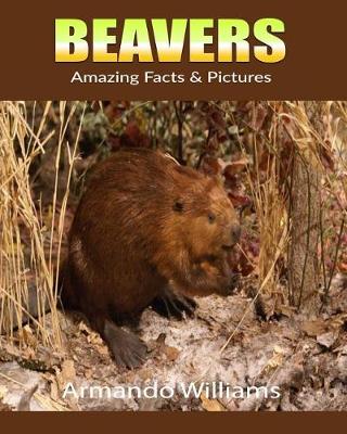 Book cover for Beavers