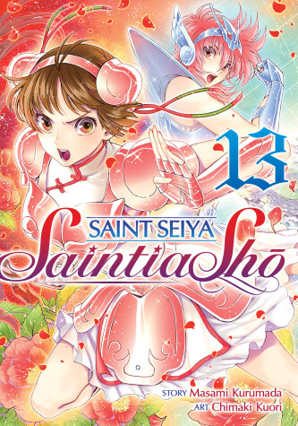 Book cover for Saint Seiya: Saintia Sho Vol. 13