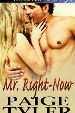 Cover of Mr. Right-Now