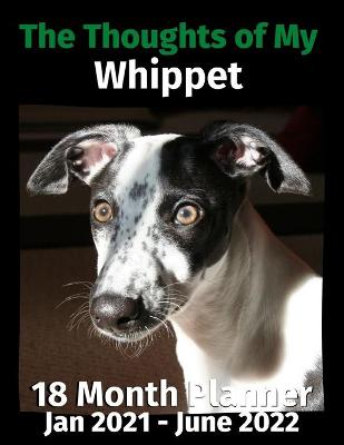 Book cover for The Thoughts of My Whippet