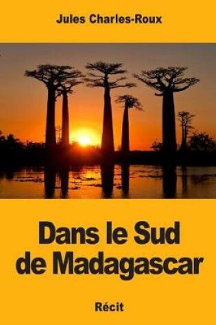 Cover of Dans Le Sud de Madagascar