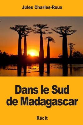 Book cover for Dans Le Sud de Madagascar