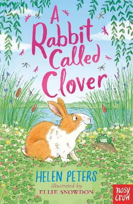 Book cover for A Rabbit Called Clover