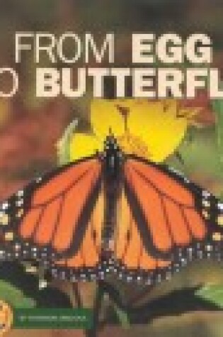 Cover of From Egg to Butterfly