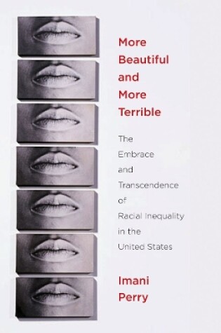 Cover of More Beautiful and More Terrible