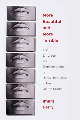 Book cover for More Beautiful and More Terrible