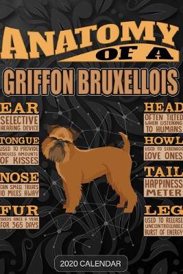 Book cover for Anatomy Of A Griffon Bruxellois