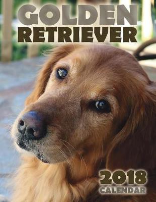 Book cover for Golden Retriever 2018 Calendar (UK Edition)