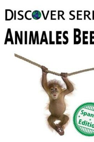 Cover of Animales Bebes