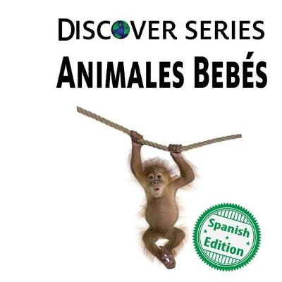 Book cover for Animales Bebes