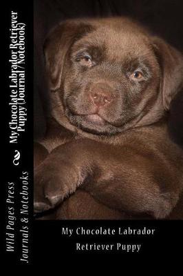 Book cover for My Chocolate Labrador Retriever Puppy (Journal / Notebook)